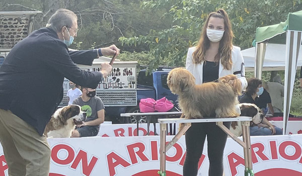 Ajika Mano Gentis en exposición canina
