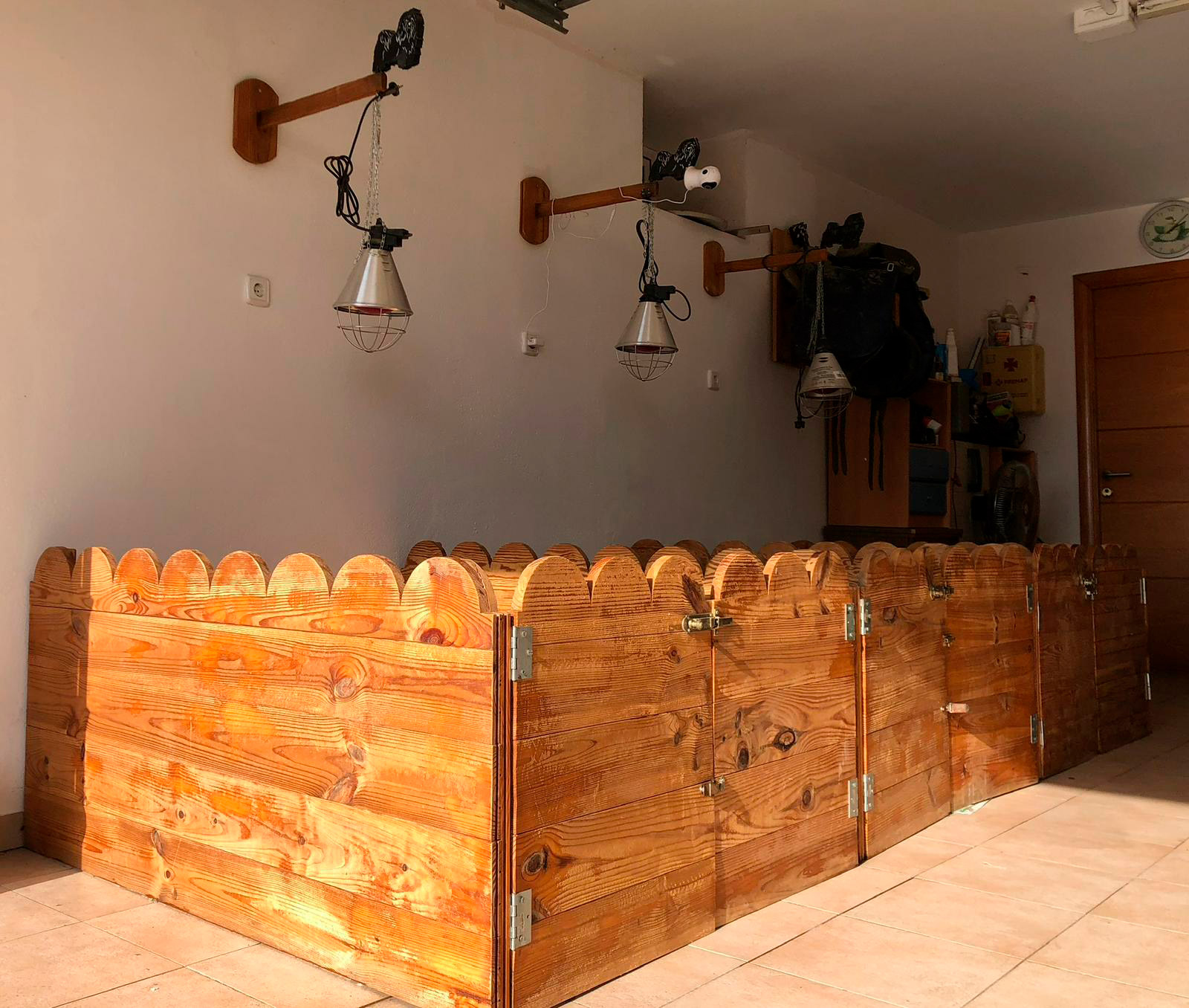 Instalaciones de Bahía de Rhode para Bichón Habanero