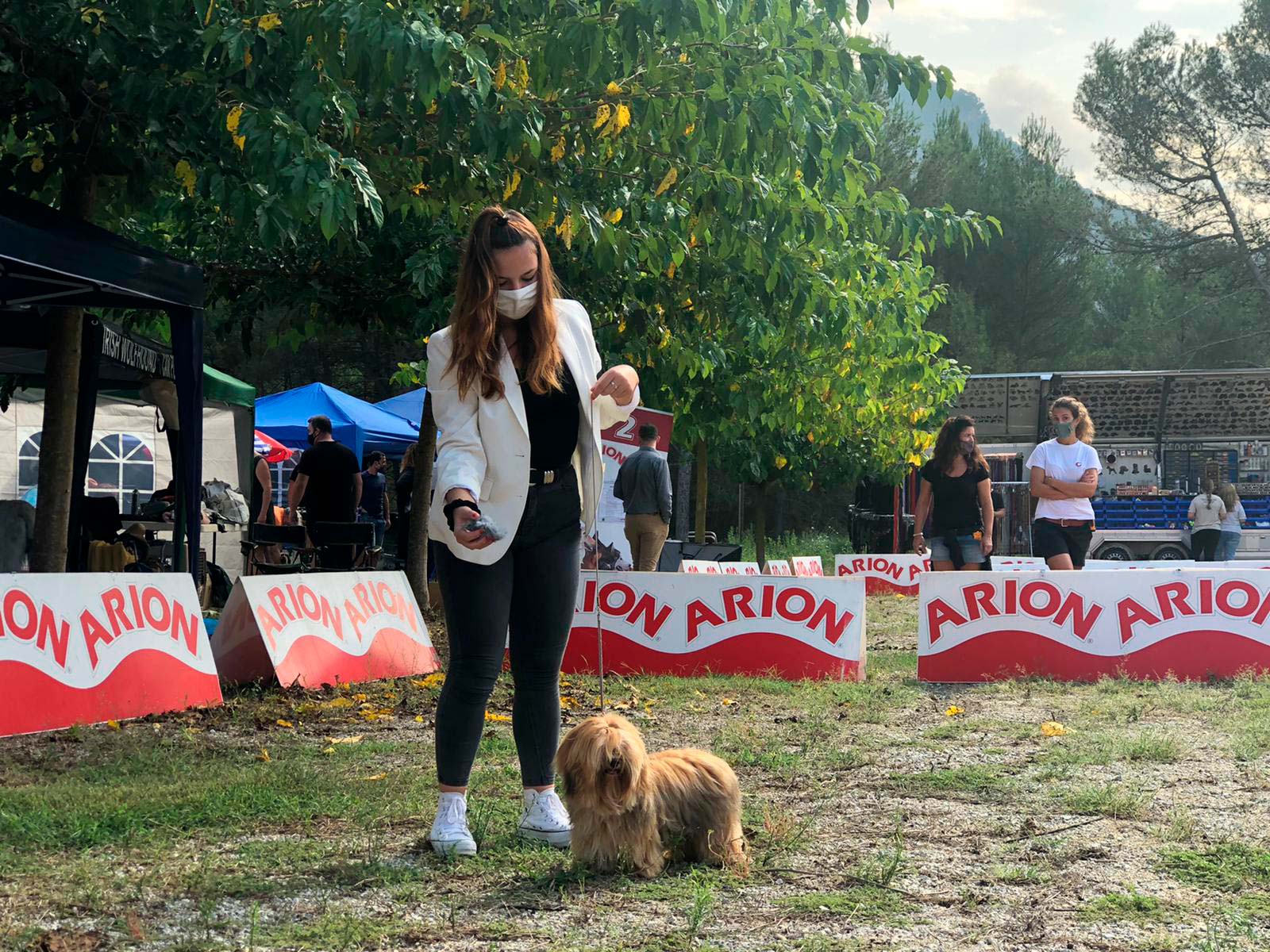 Ajika en exposición canina